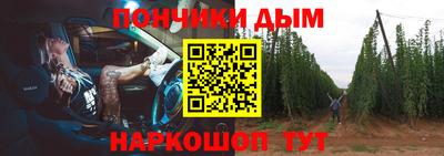 крисы Будённовск