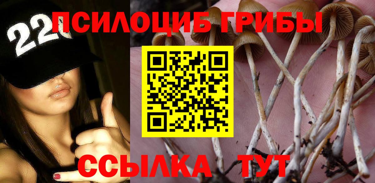 Тутаев  Псилоцибиновые грибы GOLDEN TEACHER  что такое наркотик  Вход с VPN 