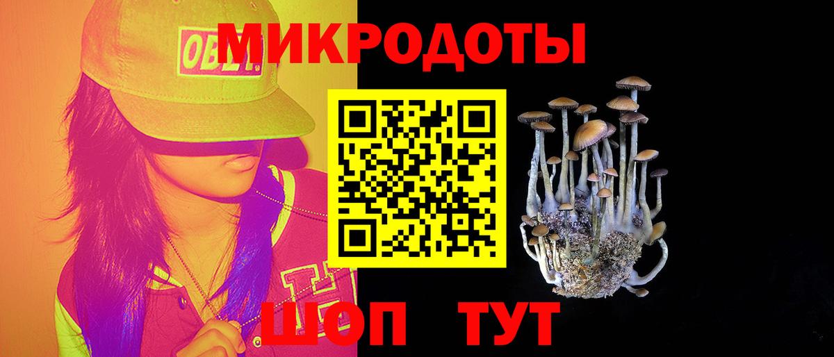 Галлюциногенные грибы MAGIC MUSHROOMS Тутаев